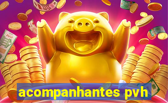 acompanhantes pvh